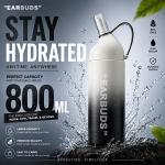 Stainless Steel Fruit Infuser Water Bottle